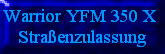 Warrior YFM 350 X
Straßenzulassung