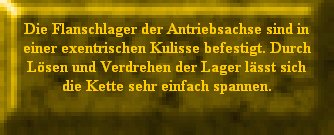 Die Flanschlager der Antriebsachse sind in
einer exentrischen Kulisse befestigt. Durch
Lsen und Verdrehen der Lager lsst sich
die Kette sehr einfach spannen.